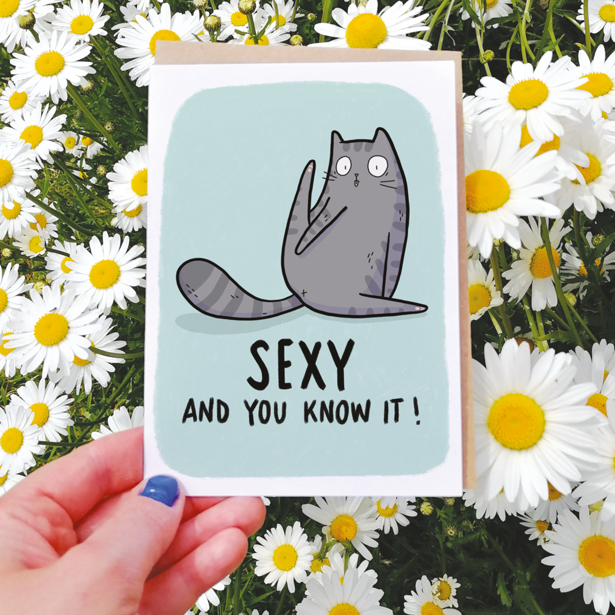 Cards And Gifts For Cat Lovers